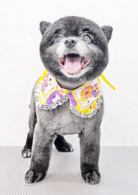 中村ウルルちゃん