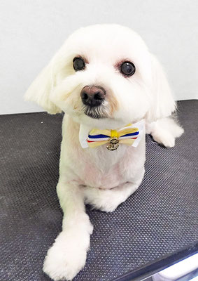 山口フウタちゃん