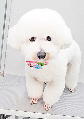 内田おもちちゃん