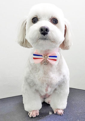 北田みるくちゃん