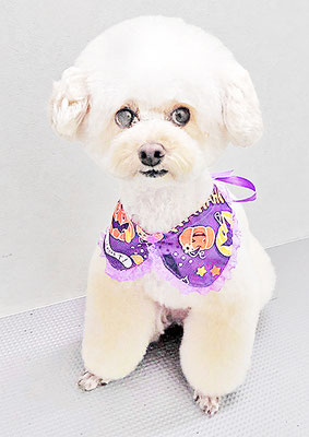 山村レオンちゃん