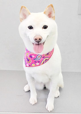 登おもちちゃん