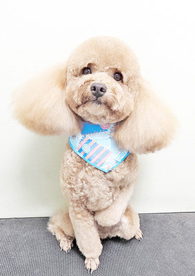 佐多ぶいちゃん