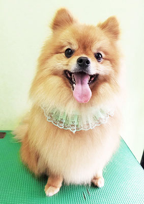 大井ポンタちゃん