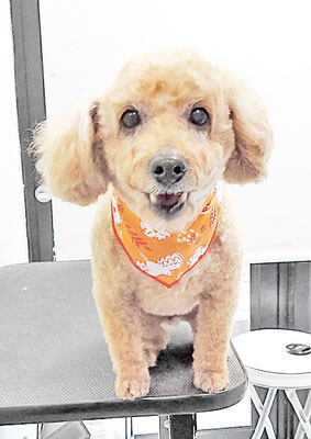 本田ゆめちゃん