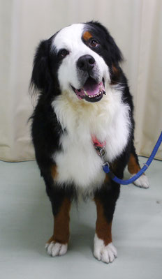 重野エドちゃん