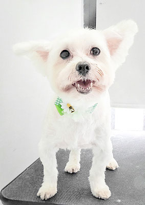 福元ミルクちゃん