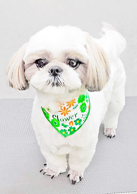 久永ナルちゃん