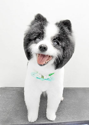 八木マリアンちゃん