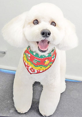 長谷ラナちゃん