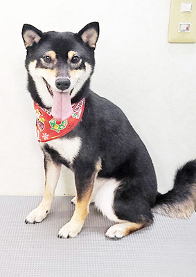 西元風子ちゃん