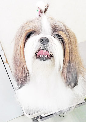 眞邉モモちゃん