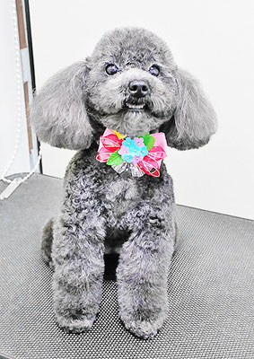 石田おはぎちゃん