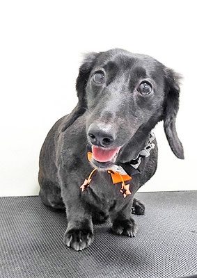 東メロンちゃん