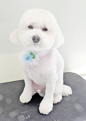 山小田アンディちゃん