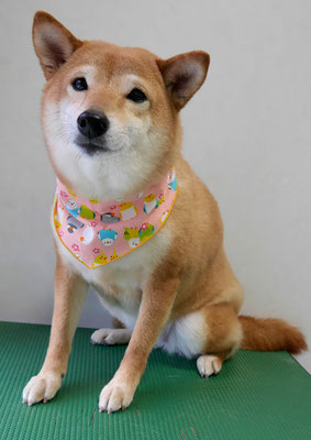 有馬コナツちゃん