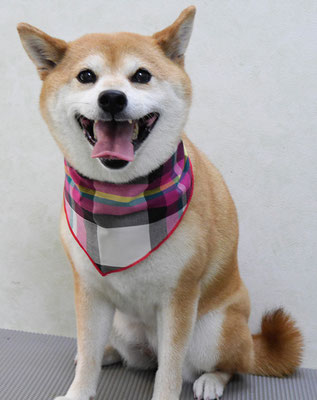 小田ハルちゃん