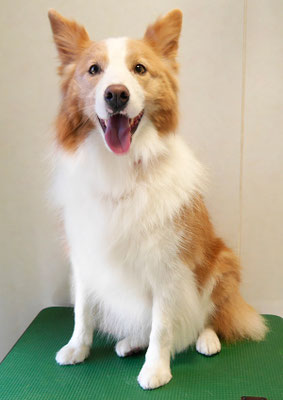 森本アンズちゃん