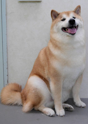 竹崎クウちゃん