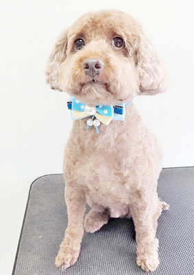 山元風介ちゃん