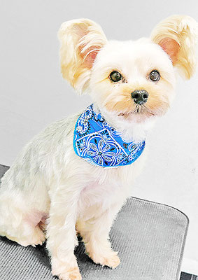 源川源之介ちゃん