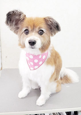 玉利ユズちゃん