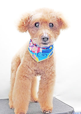 前田ソルファちゃん