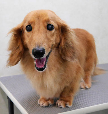 﨑戸ジュリアちゃん