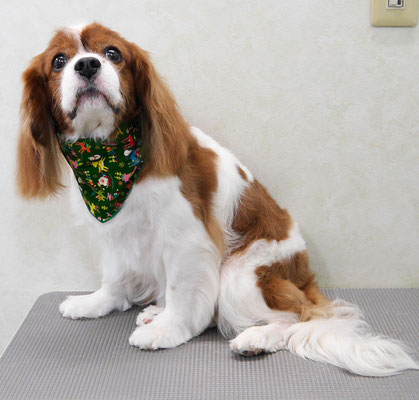 久永ココロちゃん