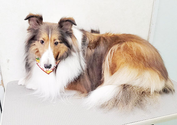 國生レイラちゃん