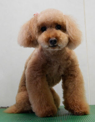 上小鶴チェリーちゃん