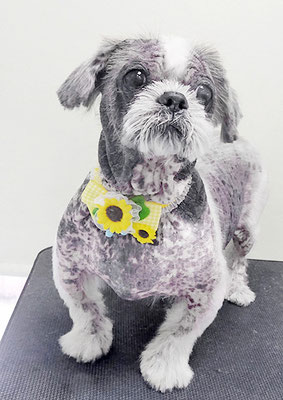 有馬陸斗ちゃん