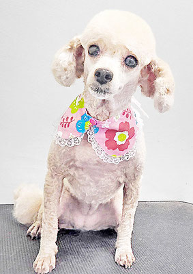 新留モコちゃん