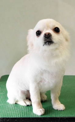 森崎ヒメちゃん