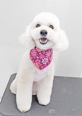 長谷ラナちゃん