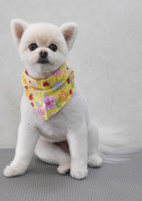 千葉チビちゃん