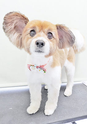 玉利ゆずちゃん