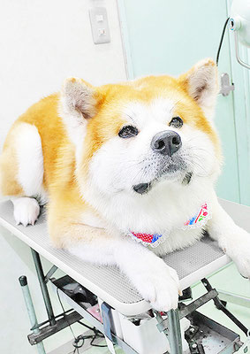 池川空ちゃん