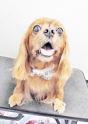 橋口ルビーちゃん