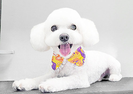 宮坂ユンちゃん