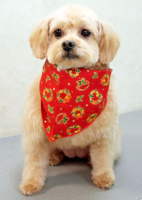 大脇芽生ちゃん