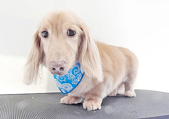 前薗パルちゃん