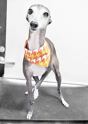 前田エレナちゃん