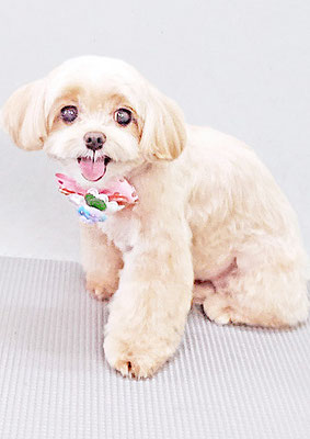 永濱サラちゃん