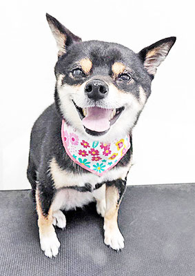 中尾あんずちゃん