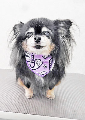 福留まろちゃん