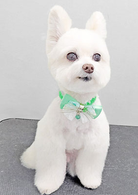 中村ココちゃん