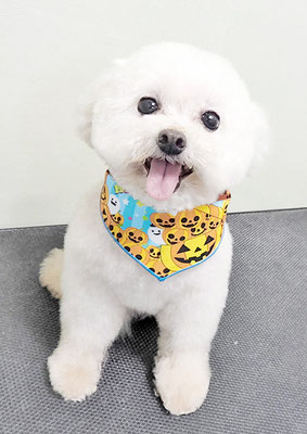 水流ちゃちゃちゃん