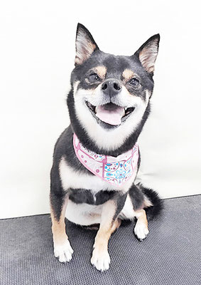 中尾あんずちゃん