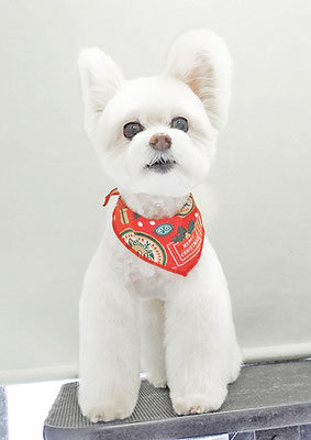 中村ココちゃん